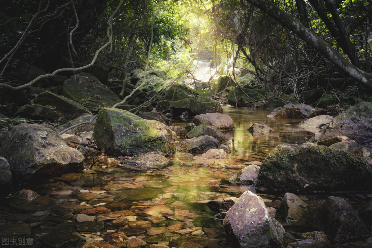 鼎湖山女神，只有心中纯粹无杂念的男人才能与她相遇，跟他下山