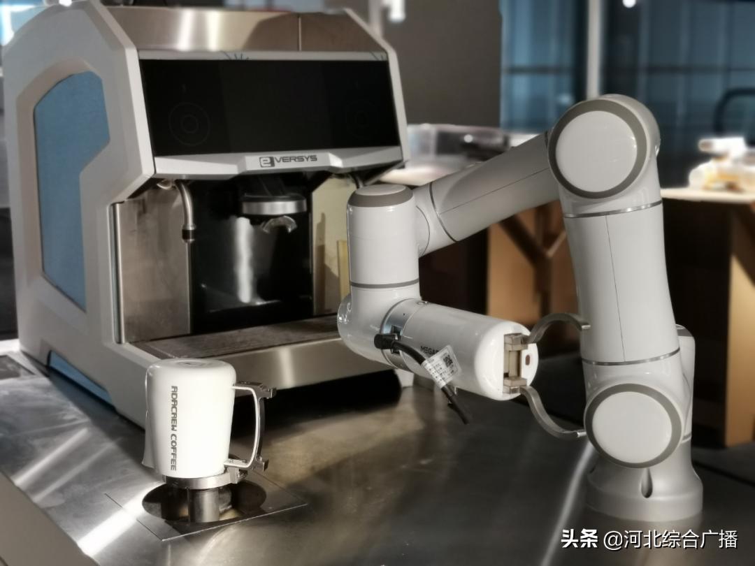 举爪爪！金芦苇奖哪件设计作品Cue到了你