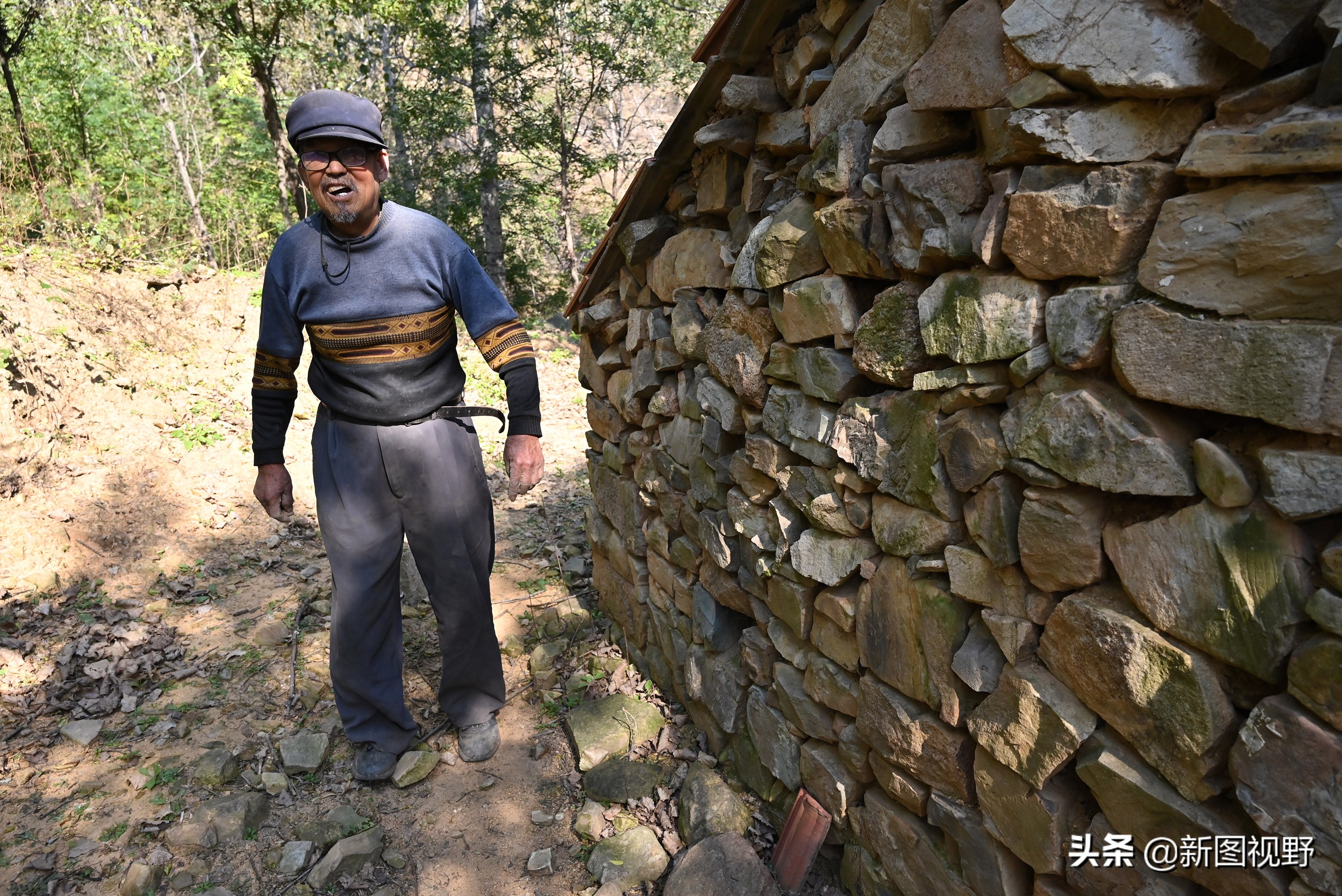 70岁老人养100条流浪狗,80岁老人独居深山养了两只鸟作伴