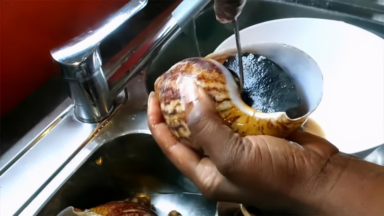 非洲大蜗牛入侵我国，有何可怕之处？为什么吃货也不敢吃？