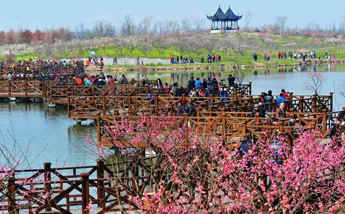 上海景点交通攻略,上海公交车旅游攻略