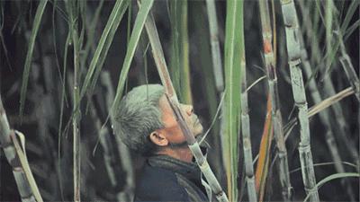 比毒蛇还毒的东西,比毒蛇还毒的生物