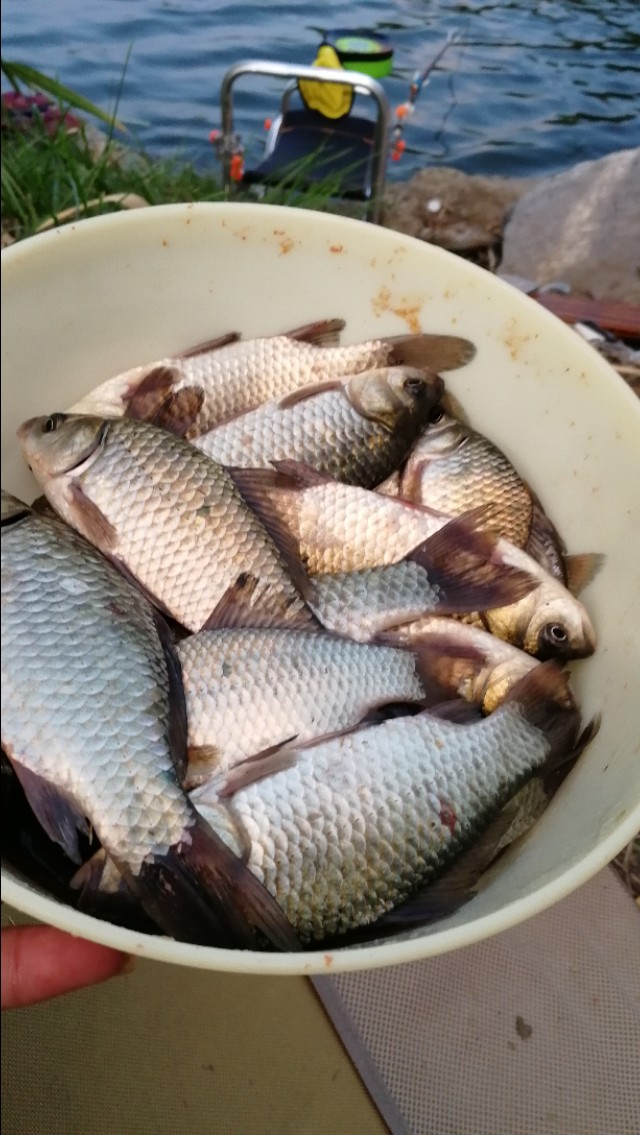 如何正确半水调漂,新手什么是半水调漂不带钩