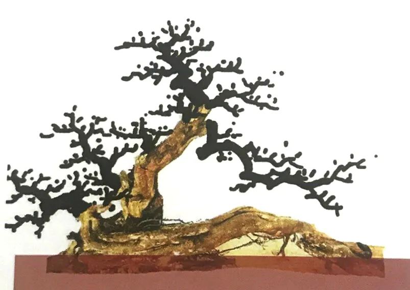 雀梅老桩盆景的造型,雀梅盆景树桩大全