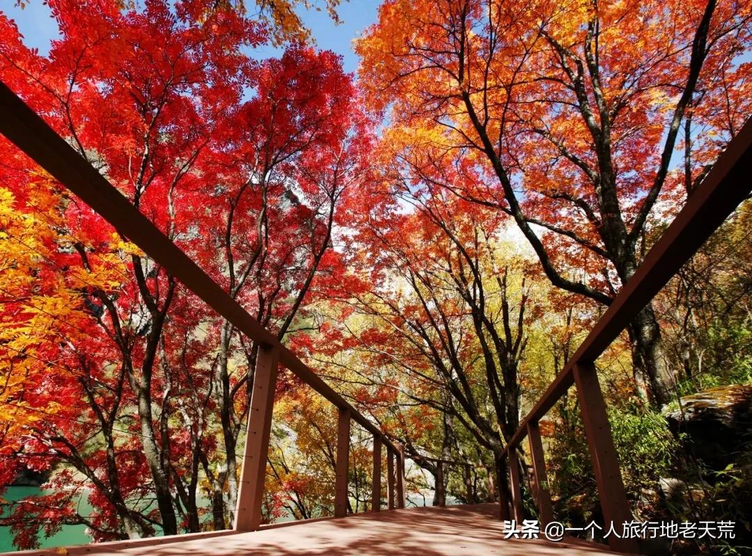 这才是12月最值得去的旅行地,11月12月去哪里旅游最美