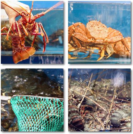 千万别带女朋友来泉州这家超市，她可能会赖着不肯走……