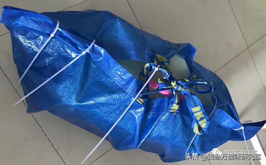 宠物托运全过程狗狗,宠物托运全过程国外