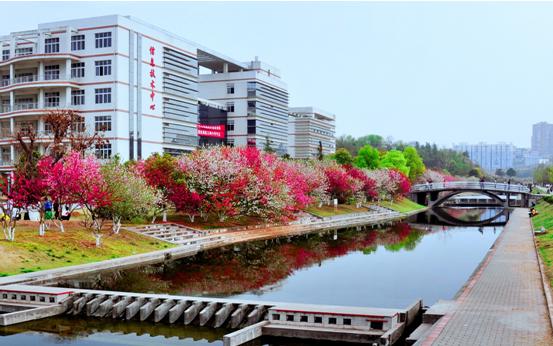 三峡大学2024招聘,三峡大学2024公开招聘