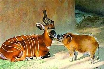 心理医生专业分析,心理医生怎么评价一个自我的人