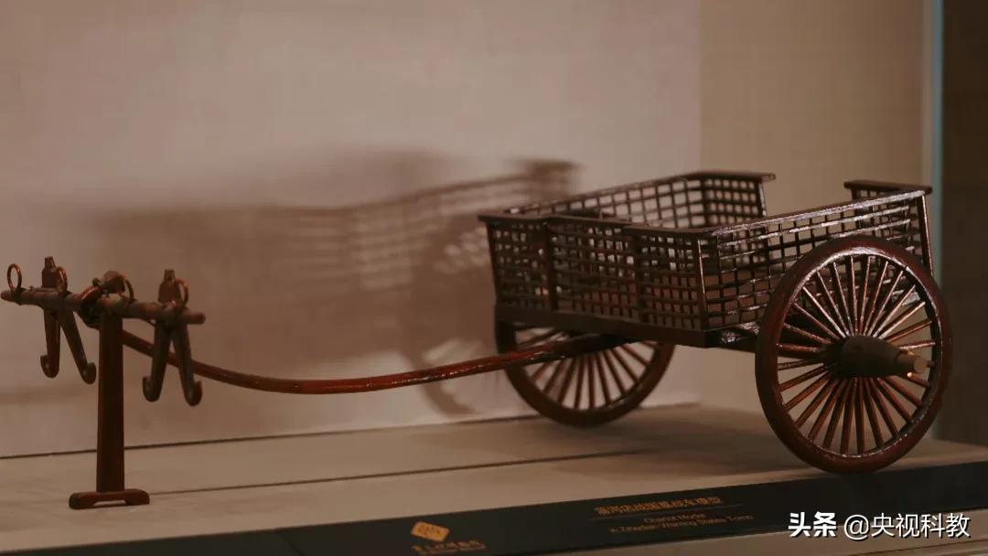 两千多年前的历史温度触手可及？跟着领队笑舒和同学们开启跨时空之旅！