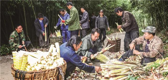 革命老区遵义贫困县全部出列