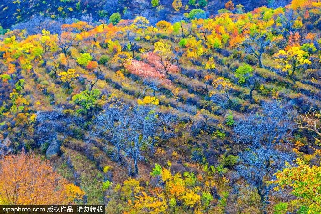 北京周末免费游玩好去处,北京适合周末闲逛的景点