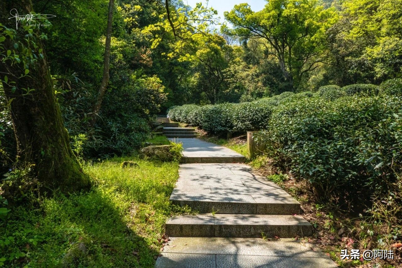 杭州虎跑泉水,杭州虎跑泉旅游攻略