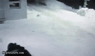 一开门猫咪就冲进卧室,猫咪越狱刚把门打开