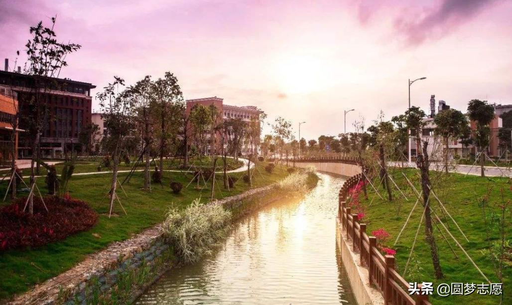 钟南山院士广州医科大学,钟南山院士广东医科大学完整视频