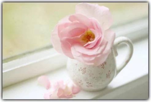 为他人开出一朵绚烂的花,为别人开一朵花80字