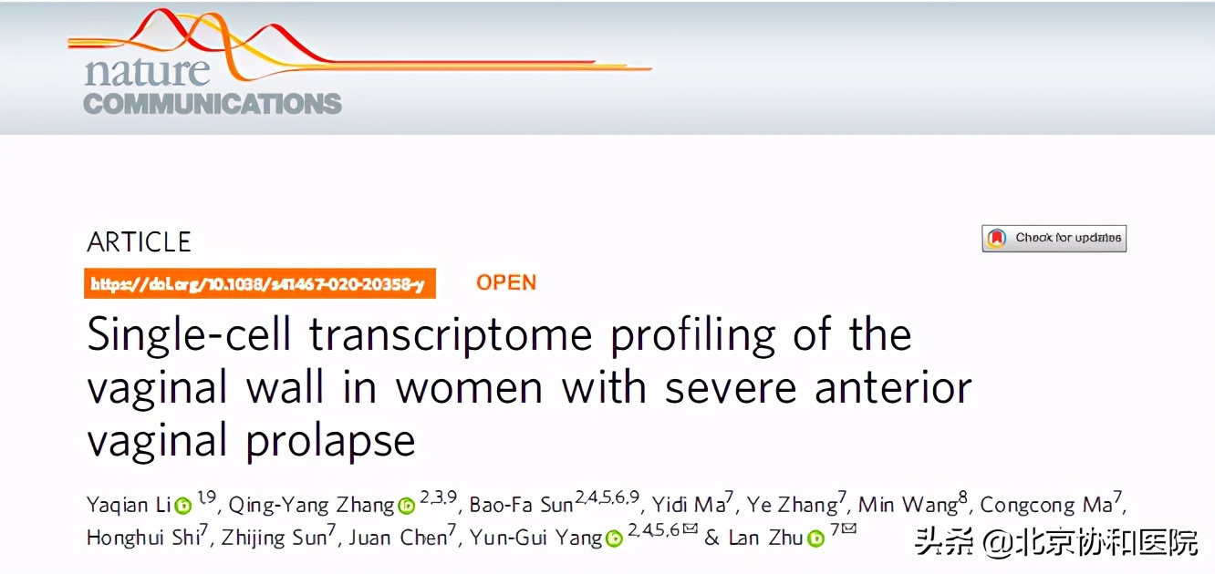 北京协和医院妇科朱兰视频,北京协和医院妇科专家朱兰