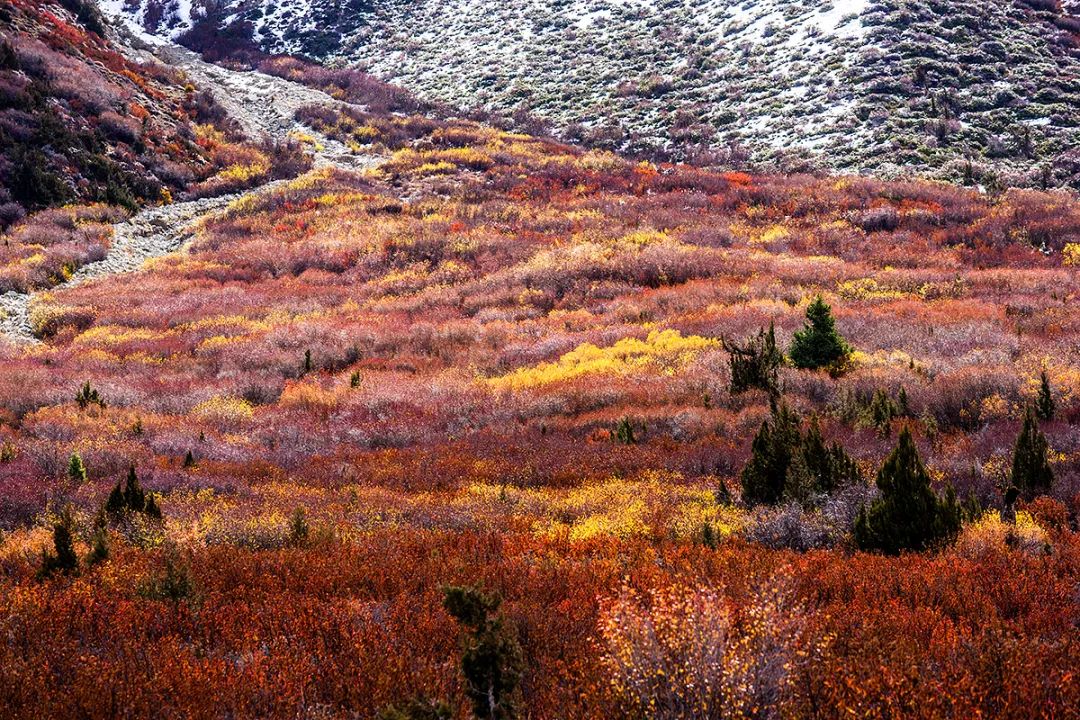 “艳”得失真?不,这就是阳光下的*藏西**洛隆卓玛朗措湖秋色