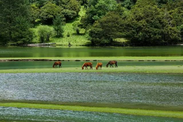 从康定开始一路都是绝美风景,从康定到新都桥景色视频