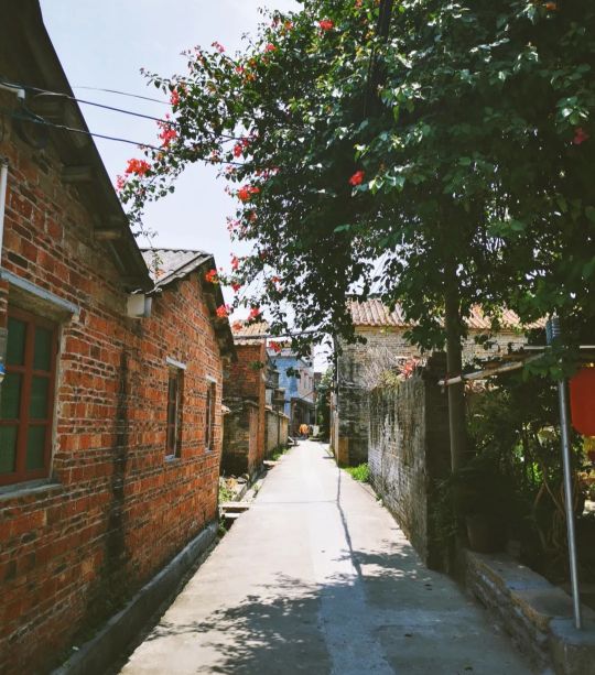 炭步镇古村落图片,花都炭步塱头古村落