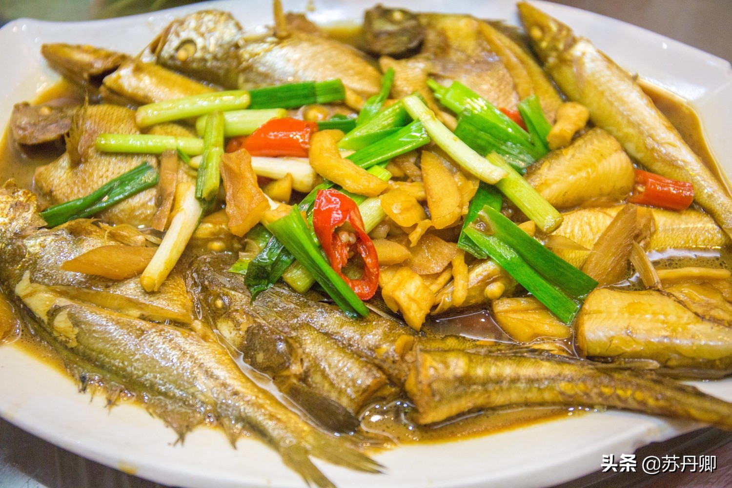 厦门海鲜1000块13道菜,厦门海鲜1599