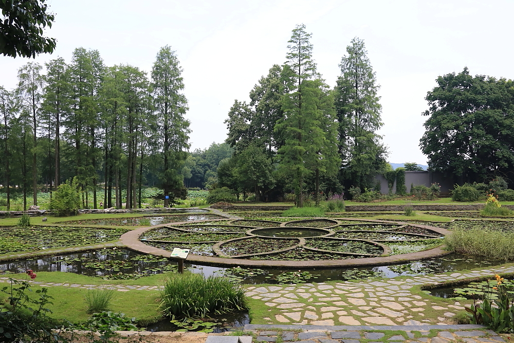 红河谷半音阶口琴独奏,12孔半音阶口琴演奏北国风光