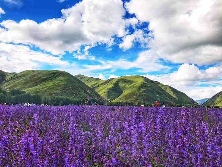 西藏和西北旅游攻略,来藏旅游攻略必看