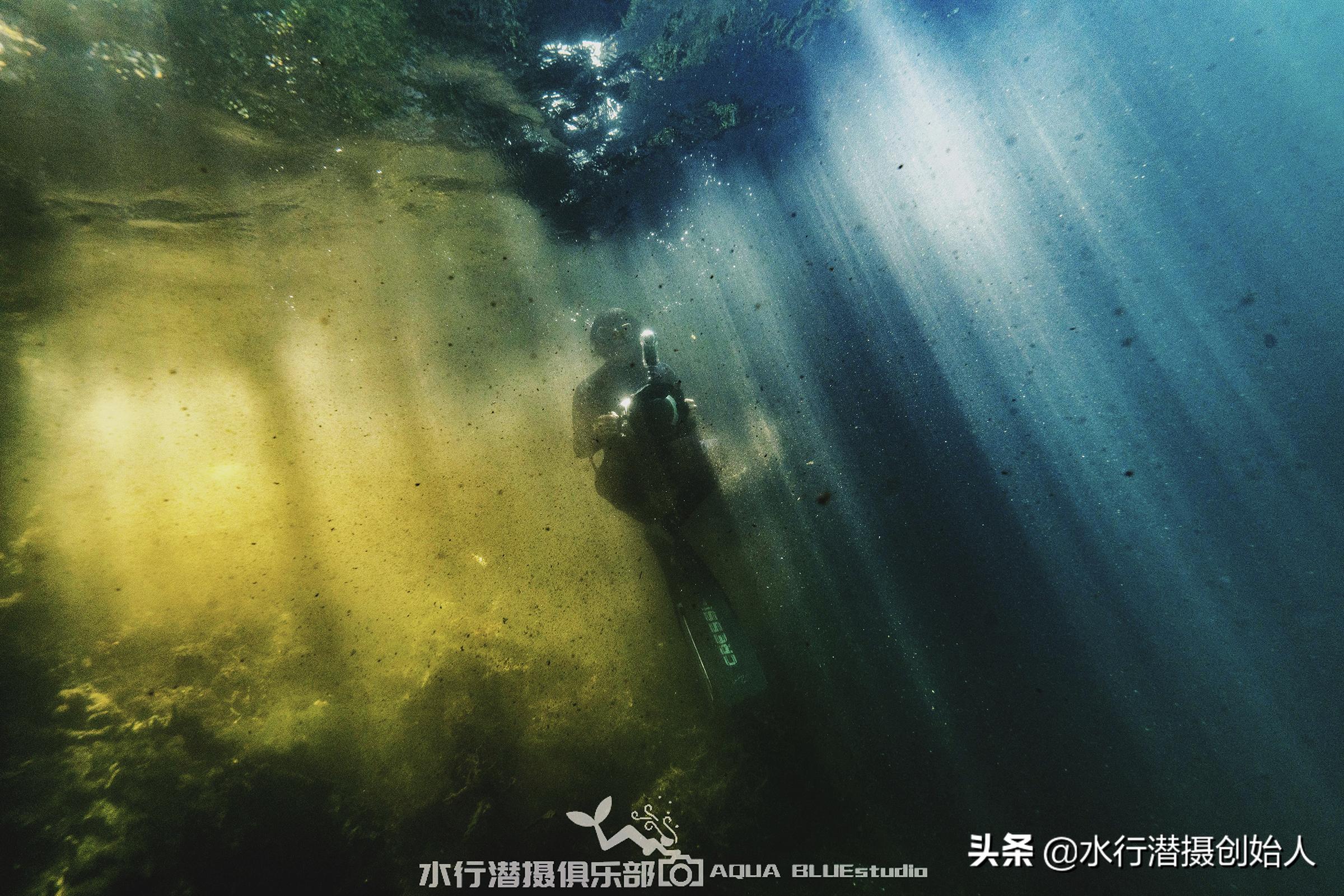 帕劳岛自由行潜水,帕劳水母湖自由潜视频