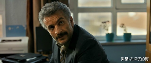 野梨树的特点,野梨树价值