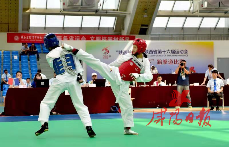 魅力体育活力校园,魅力体育精彩无限