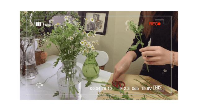 十大最好用免费ipadapp,十大实用ipadapp排行榜