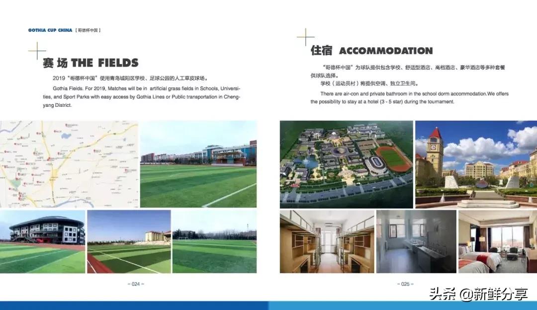 哥德杯世界青少年足球赛,国际青少年足球大赛在哪里举办