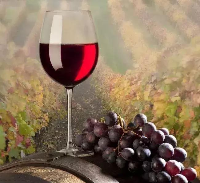 葡萄小镇攻略,长安区南寨西村太阳葡萄小镇