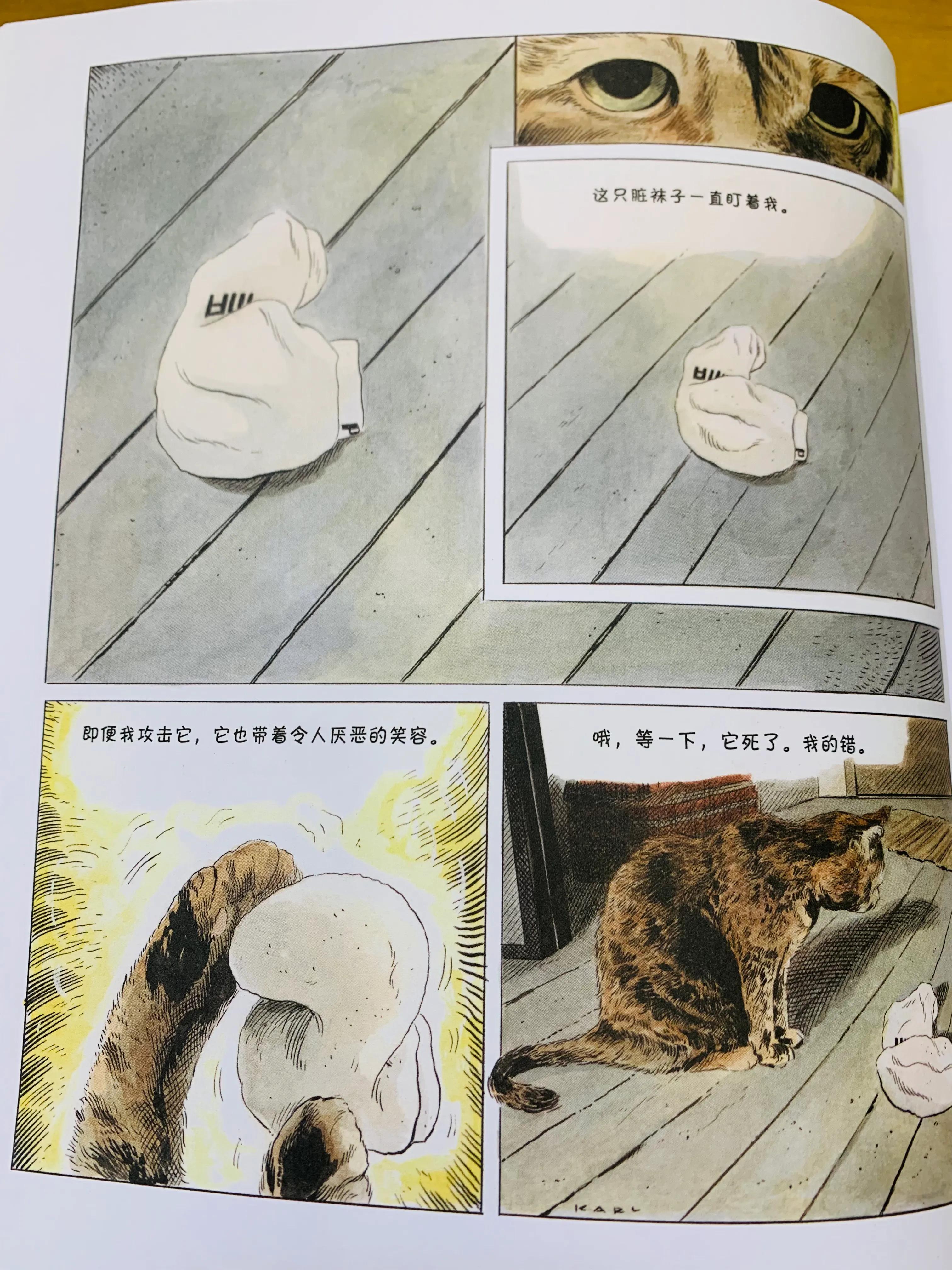 一个关于猫的搞笑漫画,猫咪治愈可爱漫画