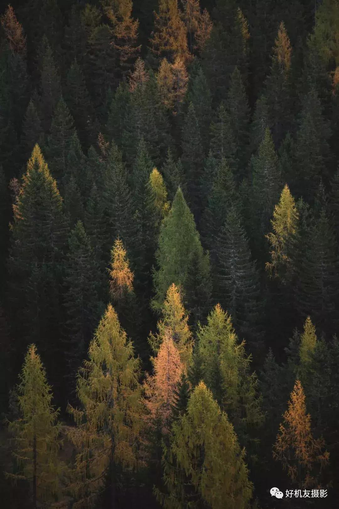 为什么说底大一级压死人,底大一级压死人谁说的