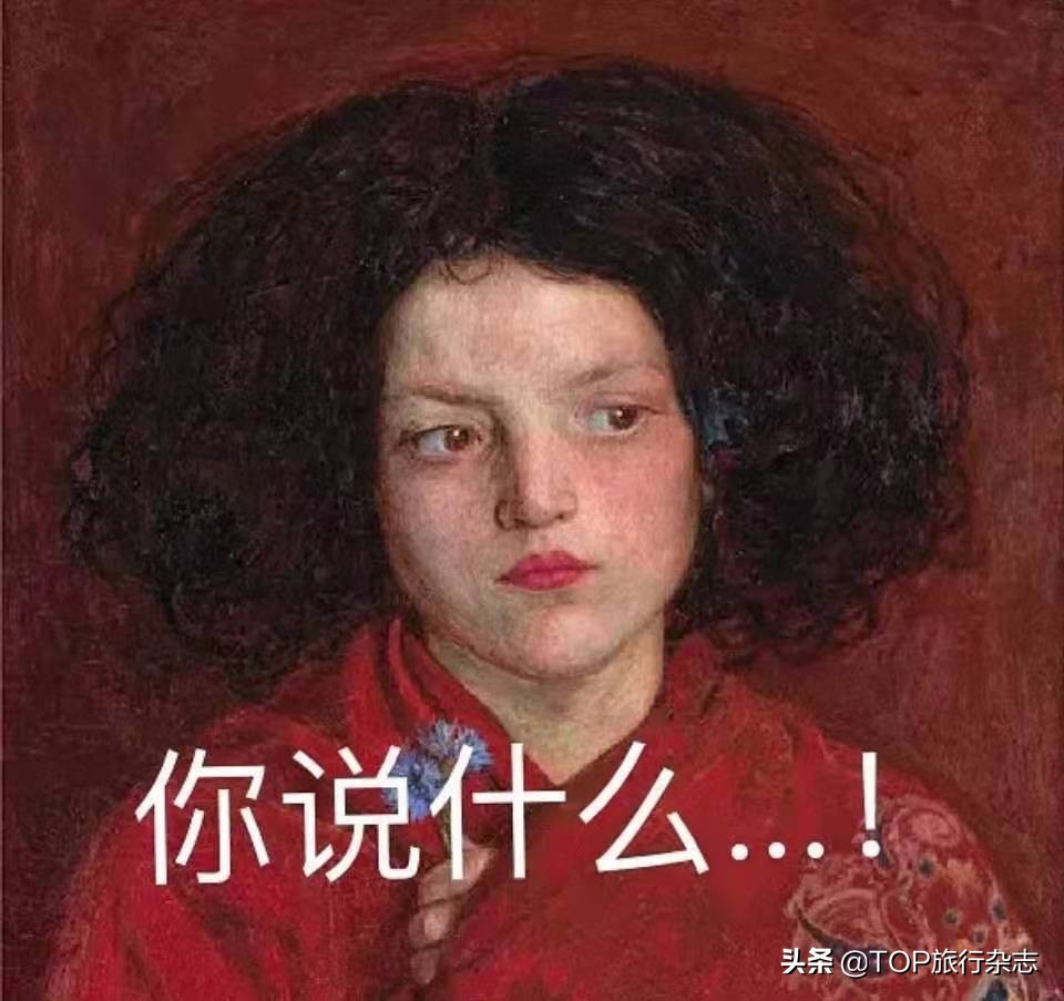 旅客带275万名表入境被查获,旅客带275万表被海关查