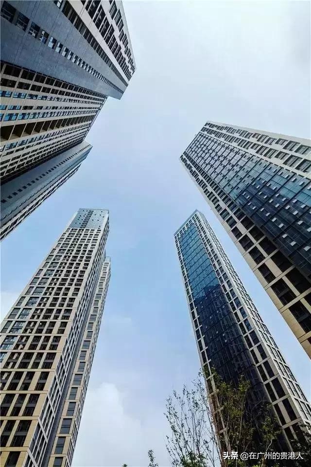 河南省城建税减半政策,洛阳的城建在河南省怎么样