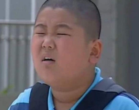 小魔仙中的石小龙的真名,小魔仙石小龙到底长什么样