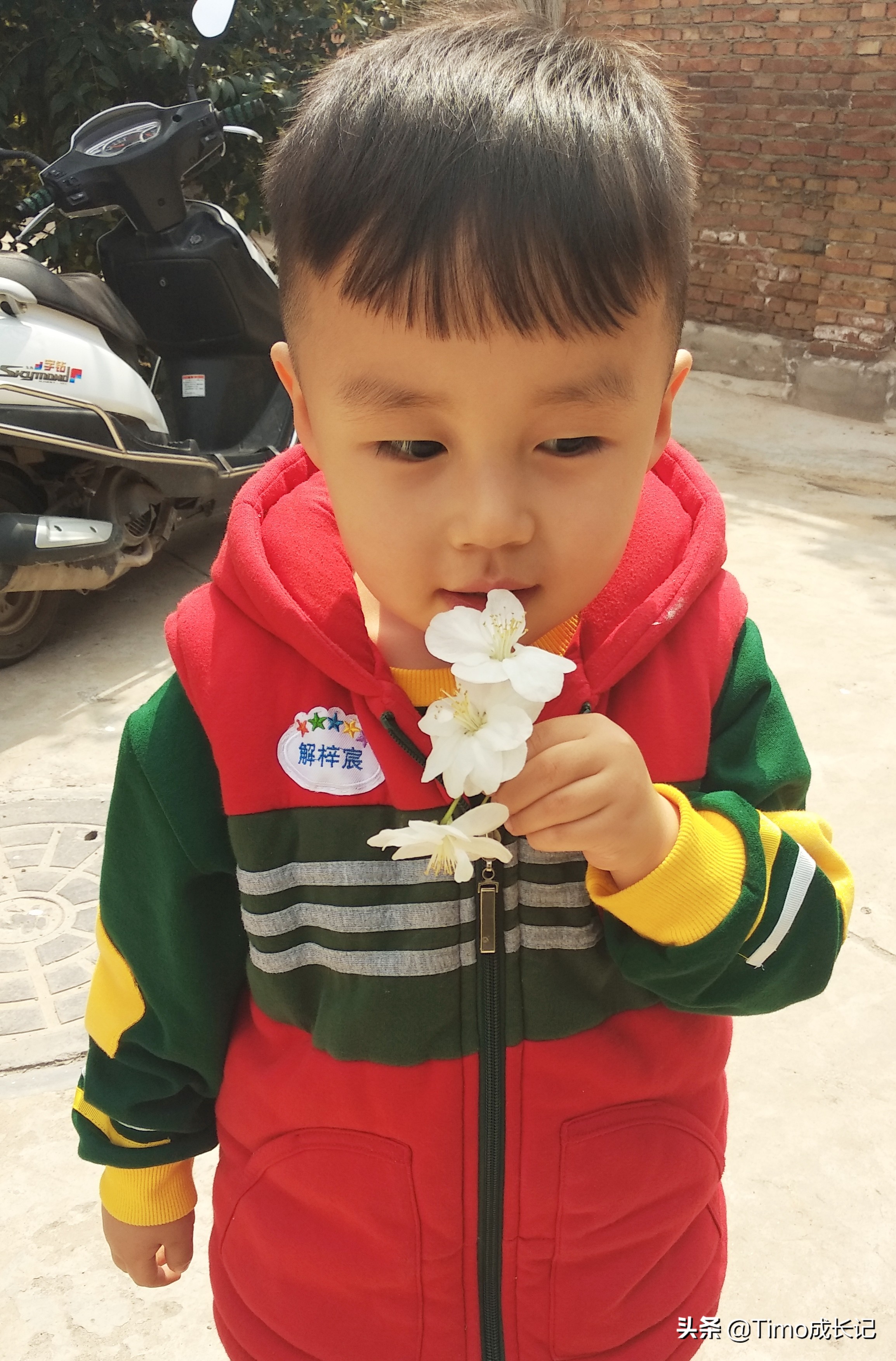 孩子磕了碰了涂什么,孩子磕着碰着肿了怎么办