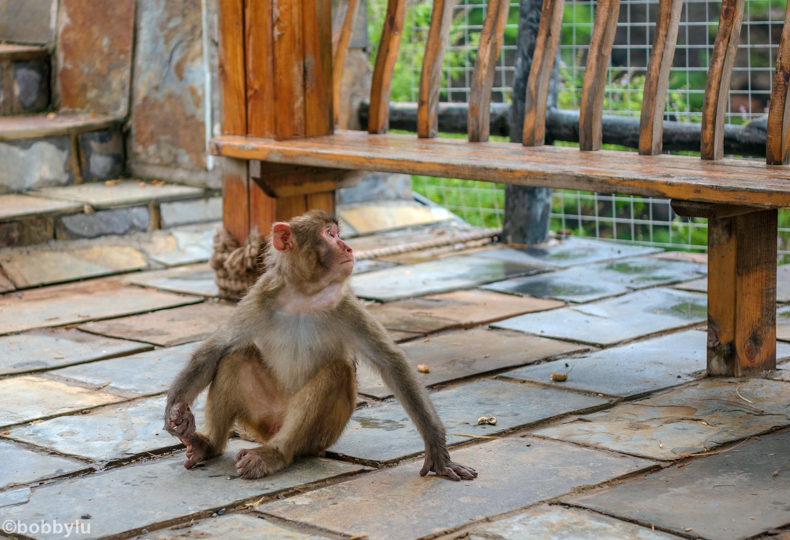 隐藏在深山里的网红景点,隐藏深山古村堪称世外桃源