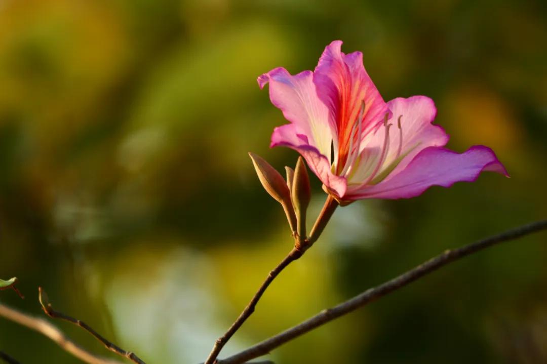 懂得珍惜,懂得珍惜歌曲原唱