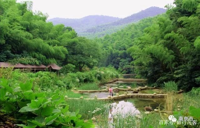 南京江宁石塘竹海景区图片,南京石塘竹海景区