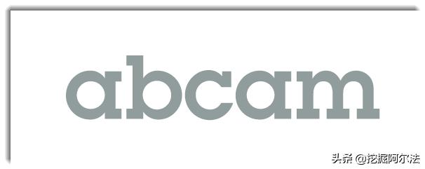 美股ipo股票谁买了,美股ipo排行