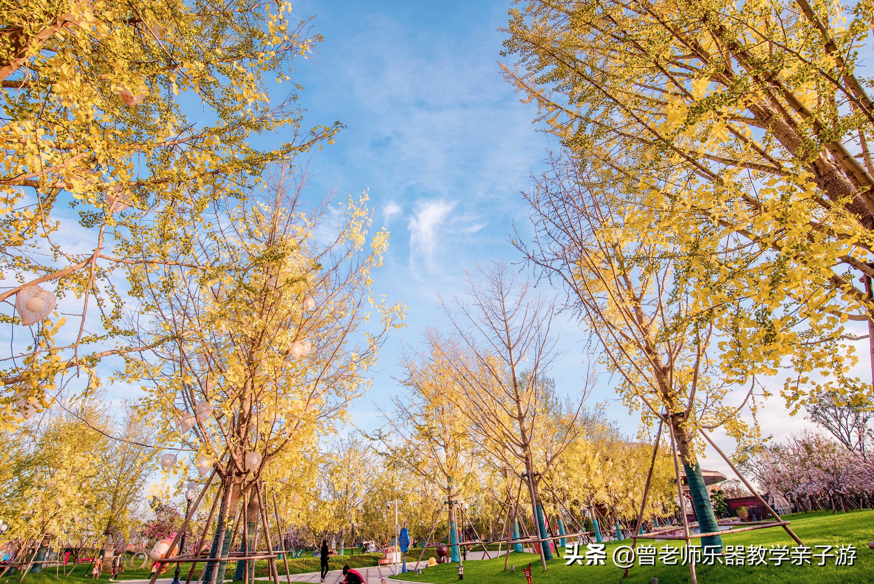 西安秋天公园免费又好玩的地方,西安恒大城附近旅游景区