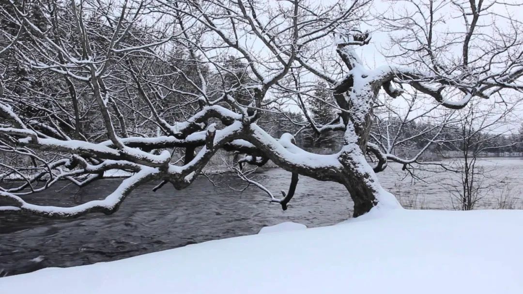 穷困潦倒的用英语怎么说,失落低落用英语怎么说