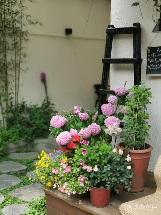 浪漫情侣美食菜谱推荐,甜蜜大餐菜谱