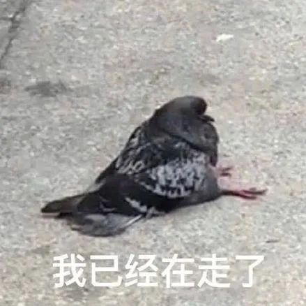 大众点评评审官赚钱么,点评怎么赚钱