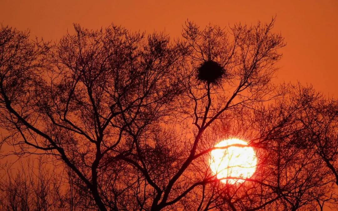 「第1期」2020年大美社群优秀作品回顾