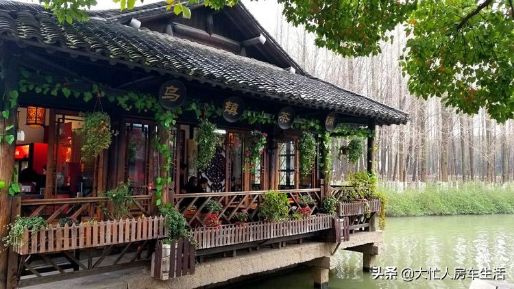 乌镇东栅景区什么好看,乌镇有哪些好地方