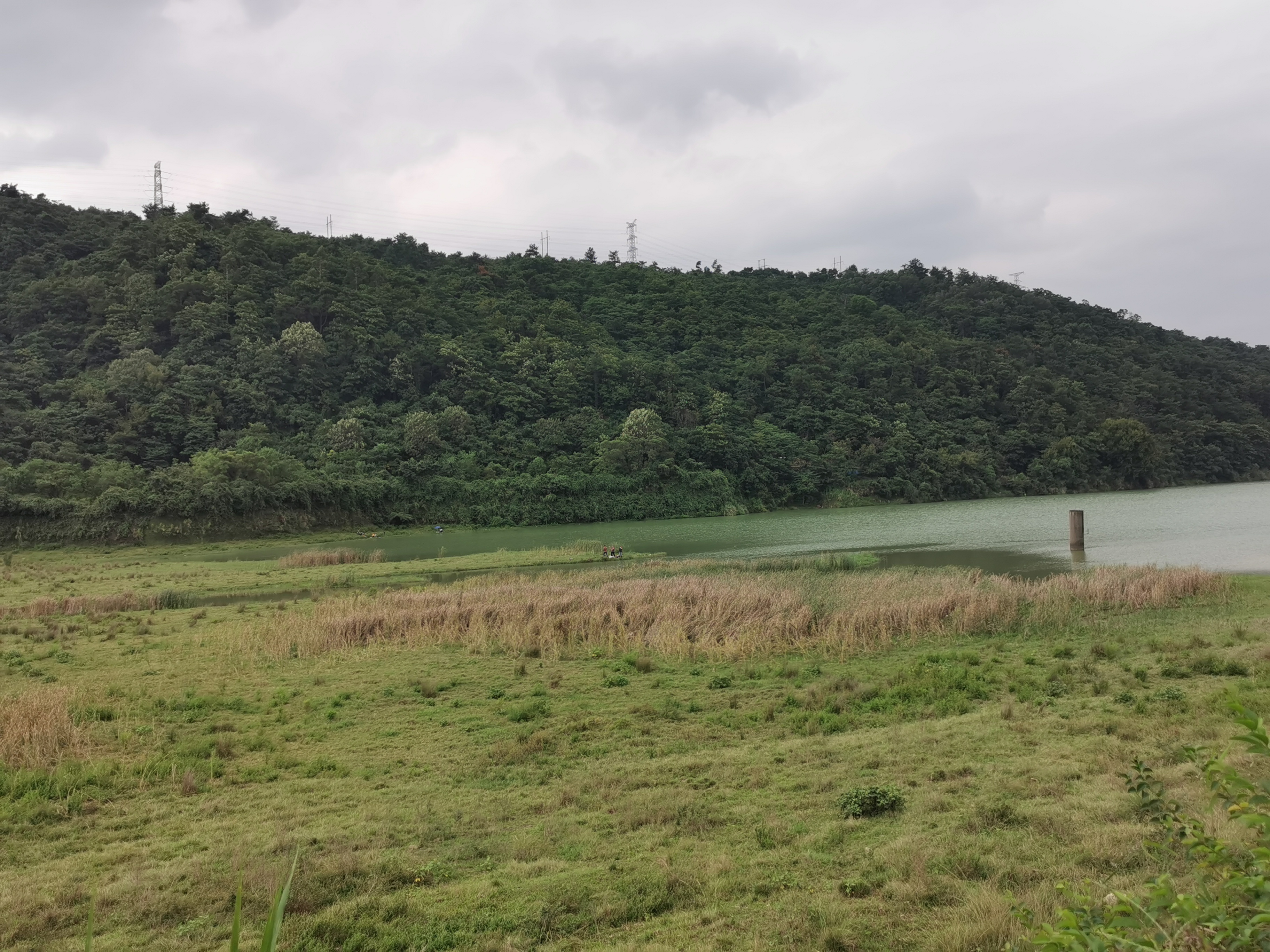 福州周边古道行之：三十六弯—恩顶—竹园岭，偶遇大野猪夹子